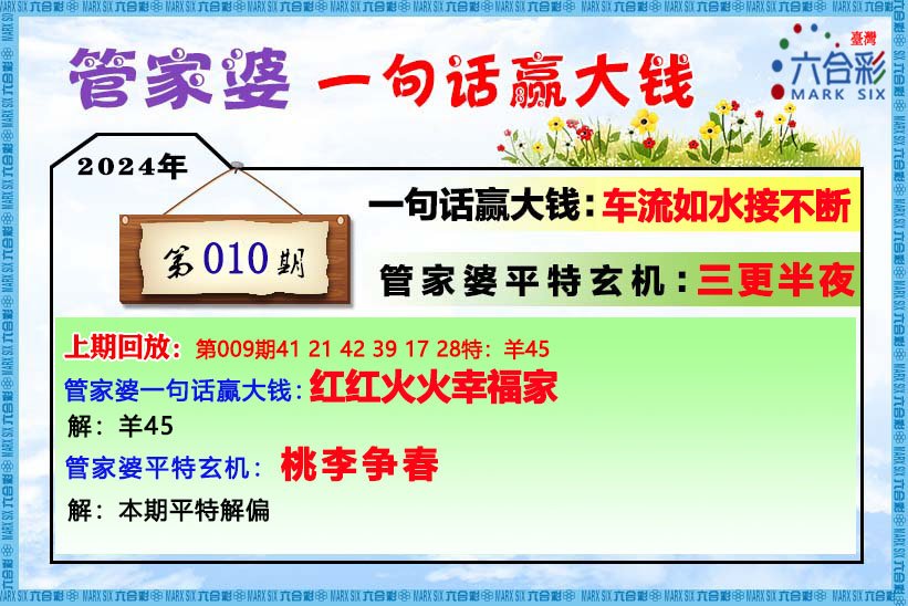 2024-2025管家婆一肖一马,精选解释解析落实