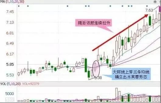 澳门天天彩期期精准预测与解析——精选资料解析大全（2024-2025）