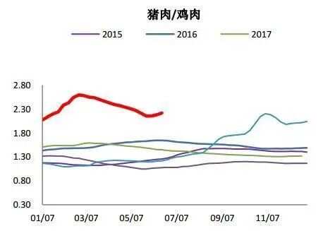 母猪最新价格动态分析