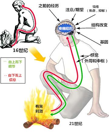 疼痛最新疗法，革新疼痛管理的希望之光