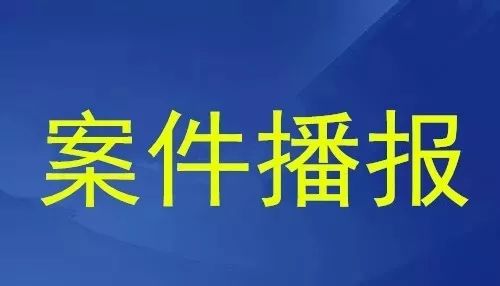 梨树新闻最新报道，今日焦点事件深度解析