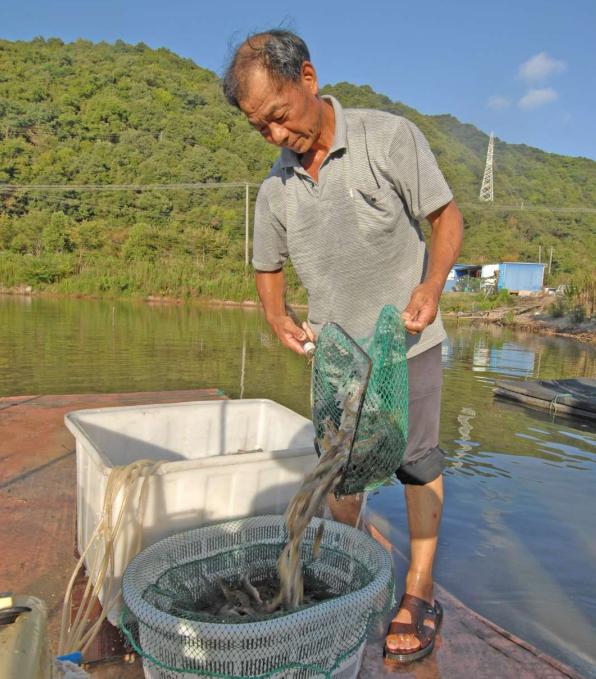 最新奉化阳光海湾项目，重塑海岸生活的典范之作