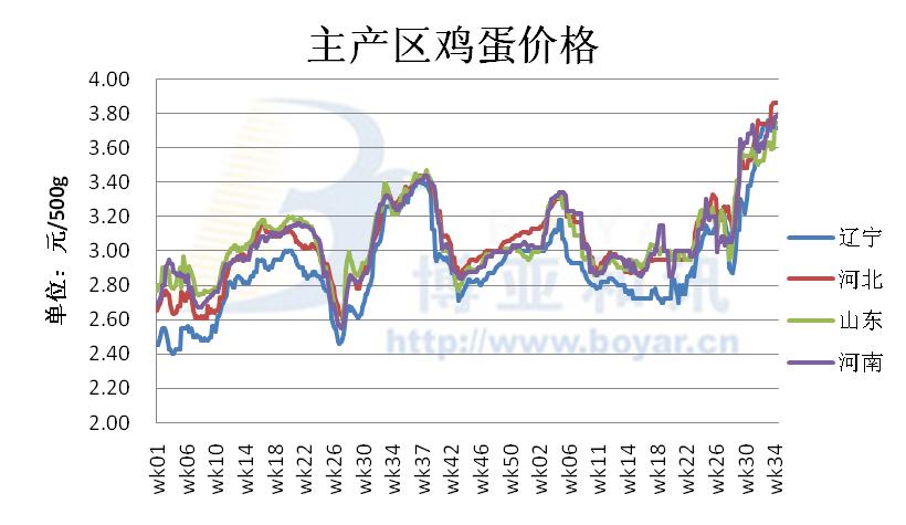 今日鸡蛋最新价格信息及其影响